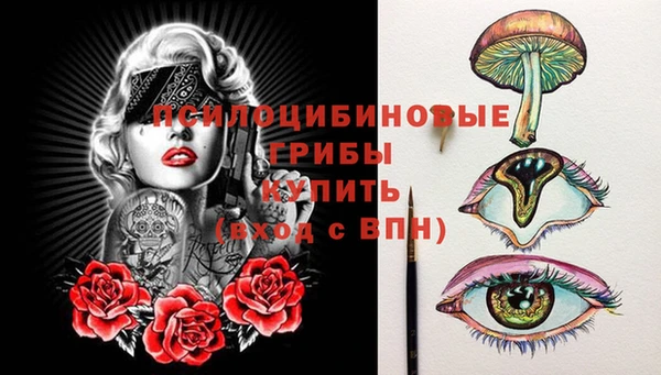 spice Надым
