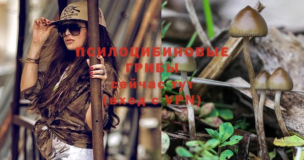 дмт Нефтегорск