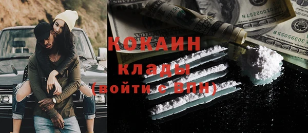 сатива Бородино