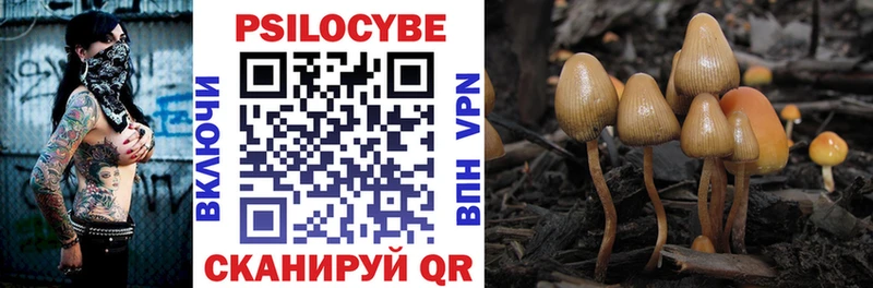 Галлюциногенные грибы GOLDEN TEACHER  Горячеводский 